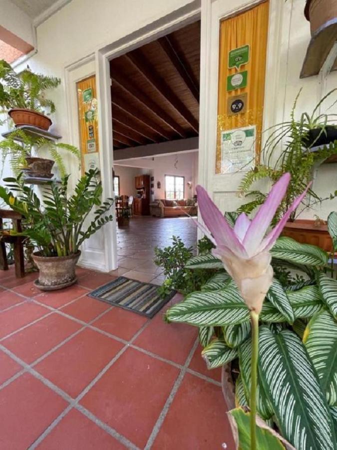 Villa Caribbean Dream Vieux Fort Exteriér fotografie