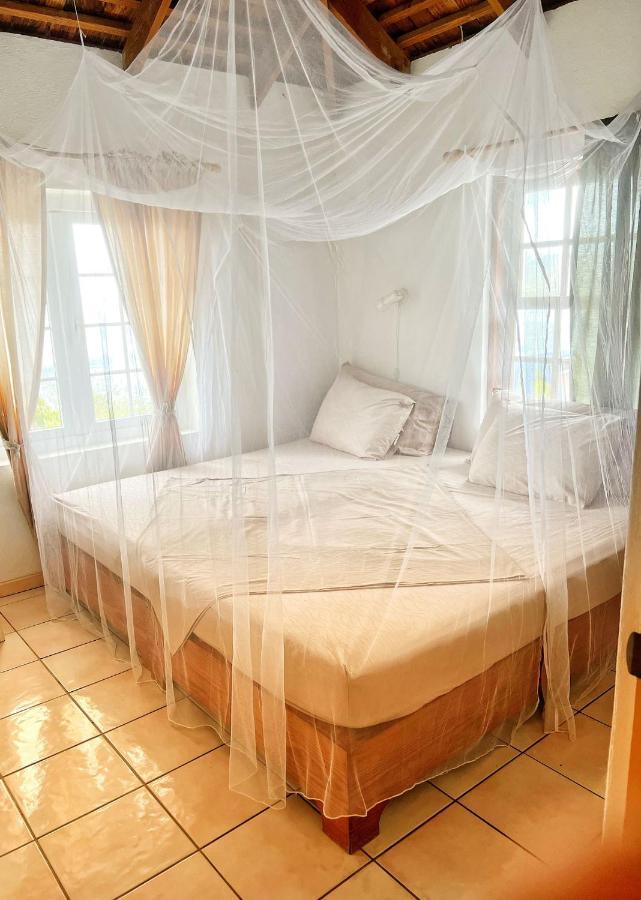 Villa Caribbean Dream Vieux Fort Exteriér fotografie