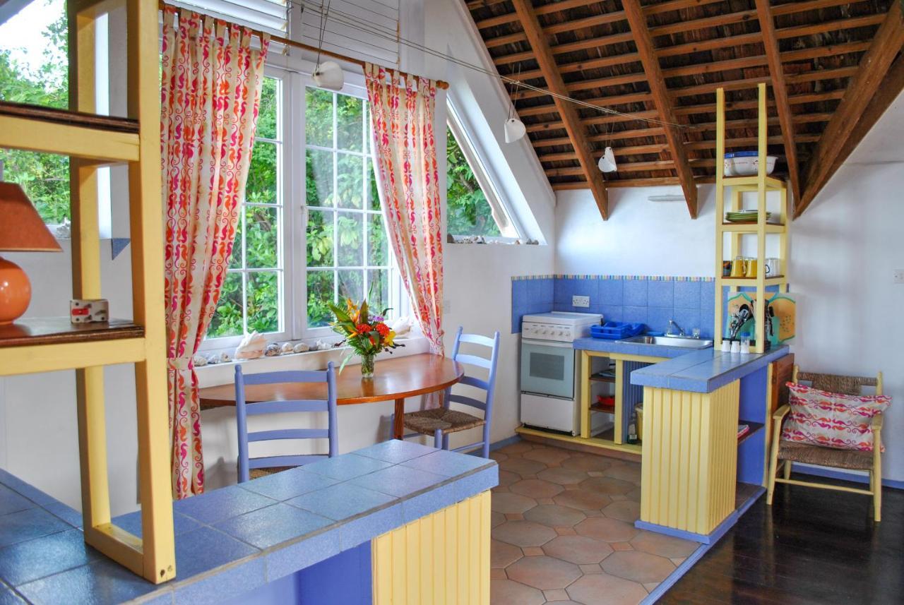 Villa Caribbean Dream Vieux Fort Exteriér fotografie
