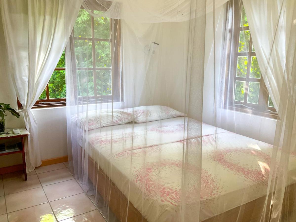 Villa Caribbean Dream Vieux Fort Exteriér fotografie