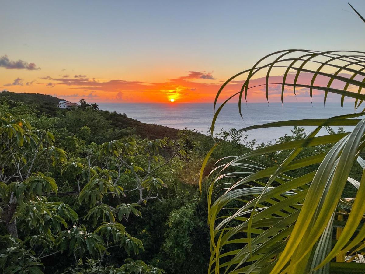 Villa Caribbean Dream Vieux Fort Exteriér fotografie