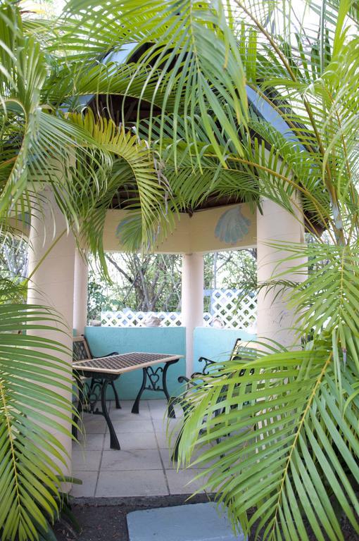 Villa Caribbean Dream Vieux Fort Exteriér fotografie