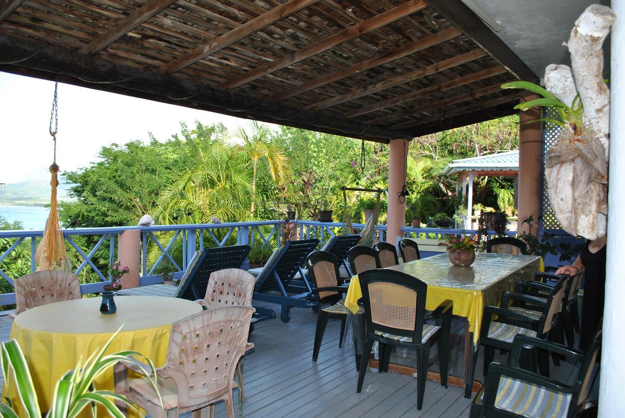 Villa Caribbean Dream Vieux Fort Exteriér fotografie