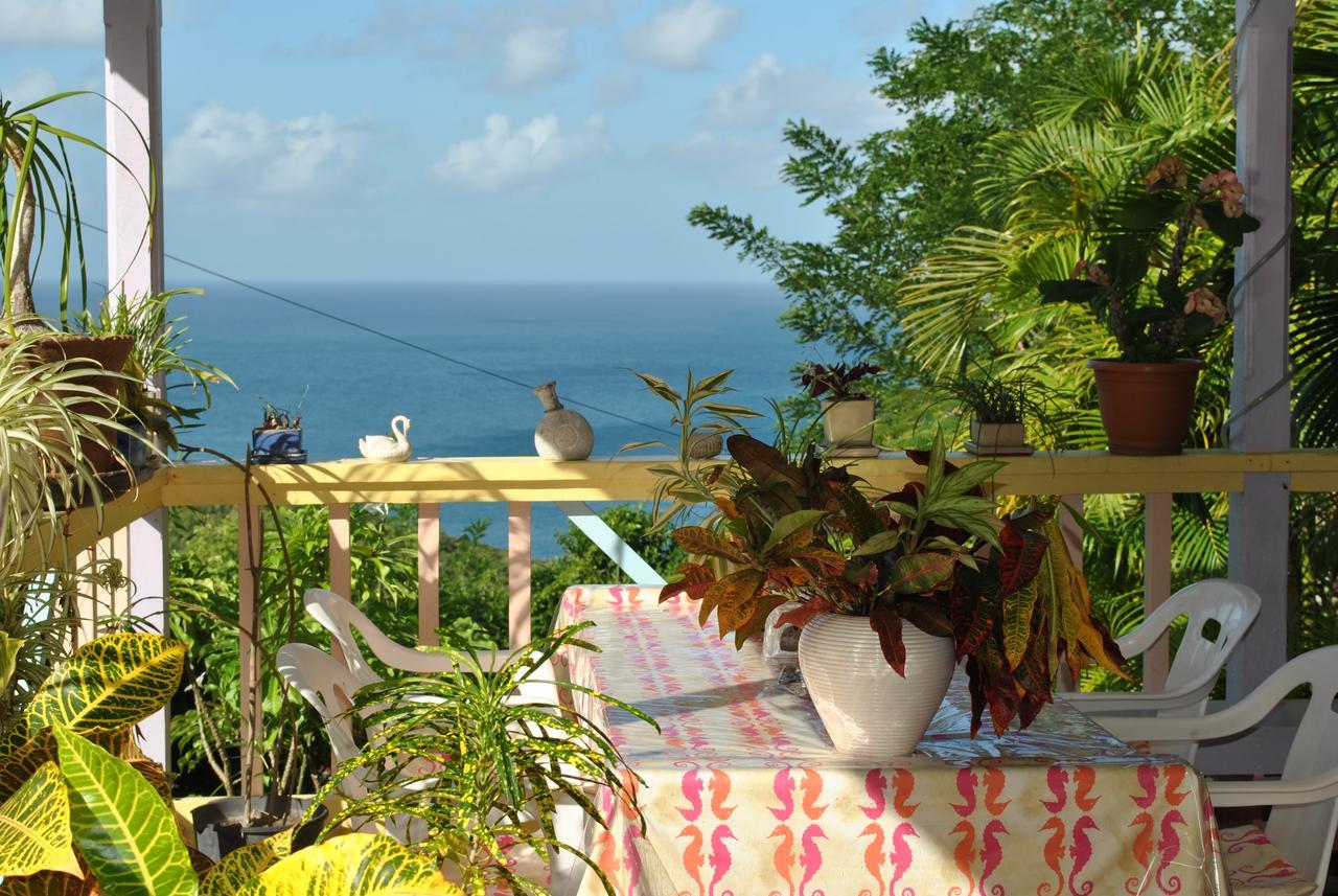 Villa Caribbean Dream Vieux Fort Exteriér fotografie