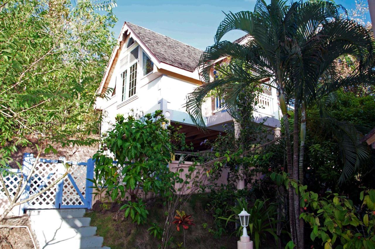 Villa Caribbean Dream Vieux Fort Exteriér fotografie